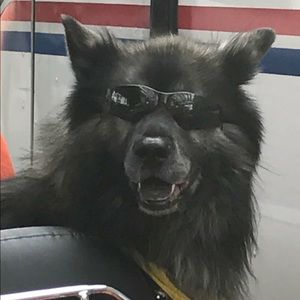 Meet your Posher, Giovanni